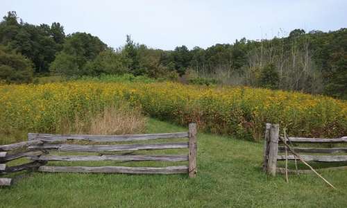 #walkingtodiscovernewthings trail hiking field Blue Ridge Parkway