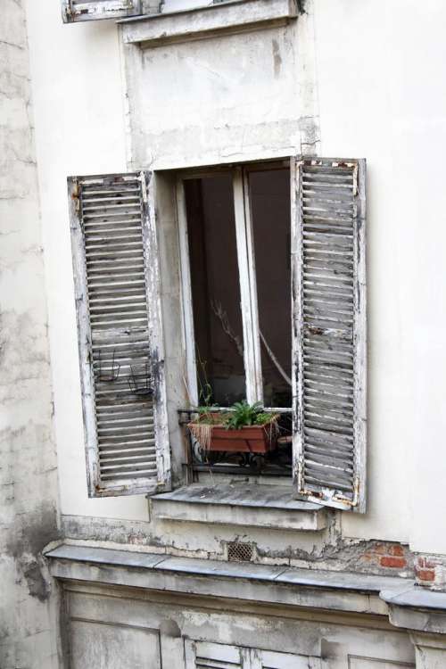 chip paint   window   windows   old   flower box