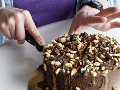 food sweet cake slices of cake hands