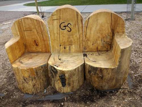 Tree stumps bench woodworking