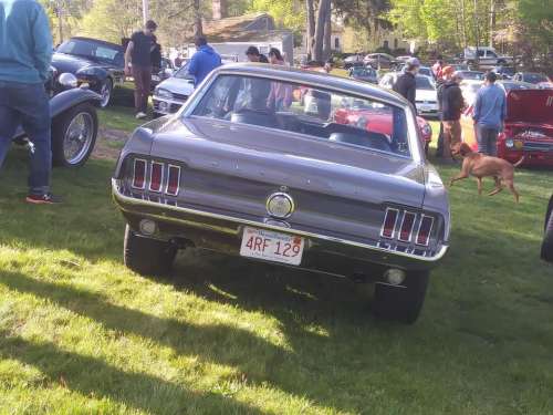 Ford Mustang Pony Muscle car