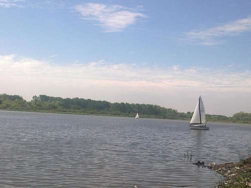 Sailboat sailing lake water 