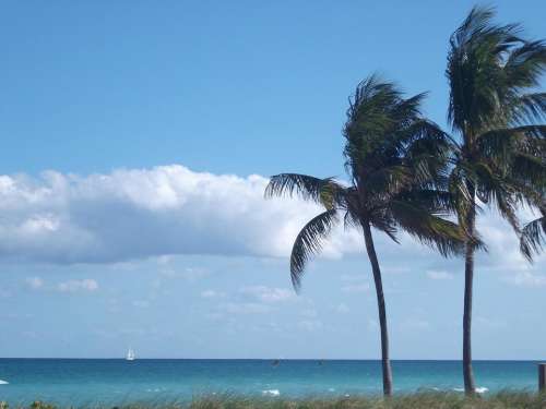 Beach Hollywood Beach Florida surf sea