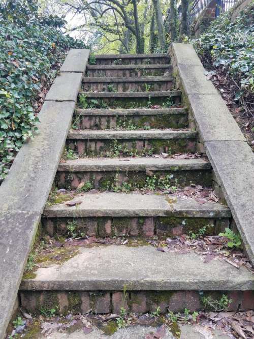 path stairs steps moss