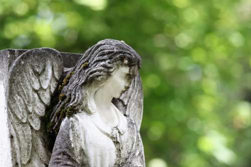 Angel Wings Old Sculpture Gravestone