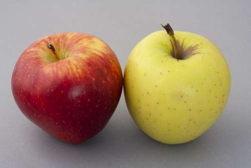 Apple Apples Red Yellow Fruit Vegan Vegetarian