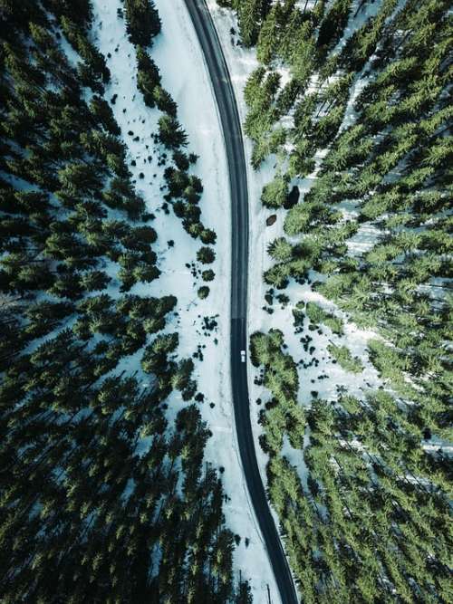 Austria Tyrol Road Drone Forest Spring Nature