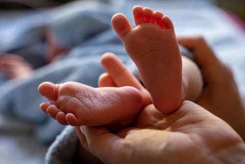 Baby Newborn Baby Feet Feet Small Barefoot Sweet