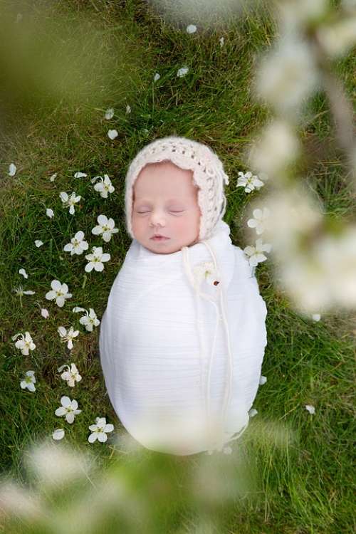 Baby Cute Child Grass Girl Nature Young Spring