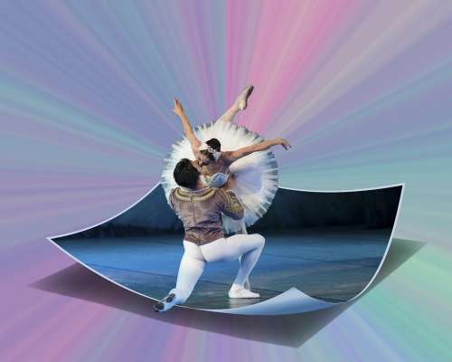 Ballet Swan Lake Ballerina Dance Swan Elegance
