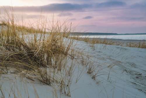 Baltic Sea Dune Grass Beach Sea Coast Sand Sky