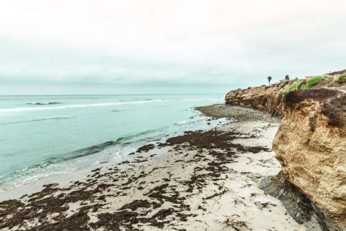 Beach Ocean Nature Surf Sea Water Surfer