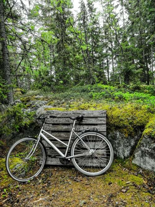 Bike Forest Green Metal Trip