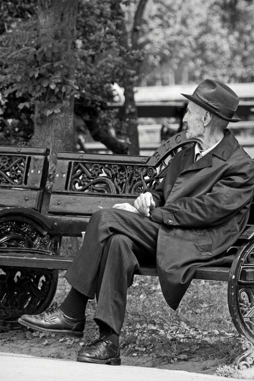 Black And White Man Person Old Resting Bank Park
