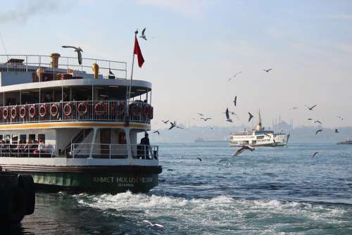 Boat Marine City Sea Seagull Birds Sky Ship