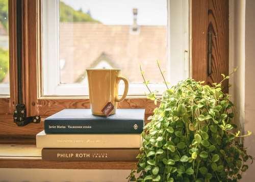 Book Read Tee Literature Window Sill Houseplant