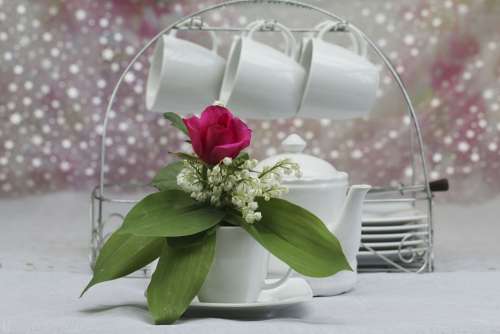 Bouquet Cups Decoration Coffee Flowers Thrush