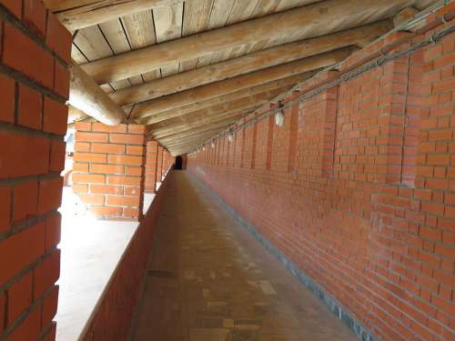 Brick Tree Tunnel Passage Wall