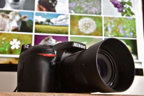 Camera Digital Nikon Photography Photographer
