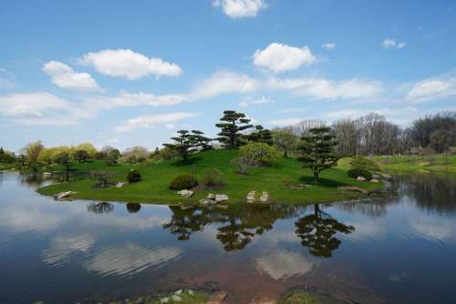 Chicago Botanic Garden Trees Pond Lake Reflection