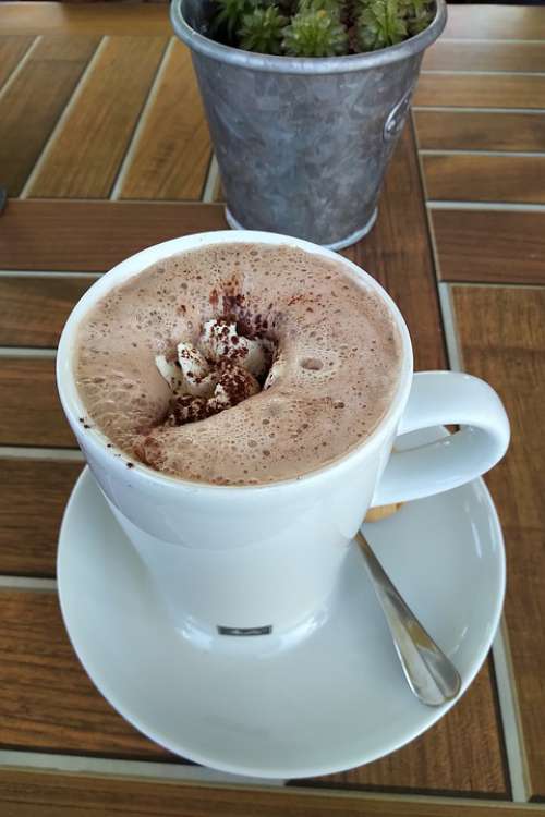 Cocoa Coffee Chocolate Drink Cup Beverages Sweet