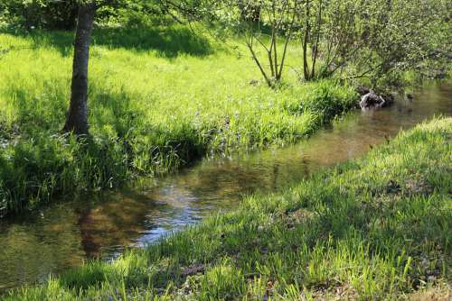 Creek Spring Landscape Nature Water Trees Scenic