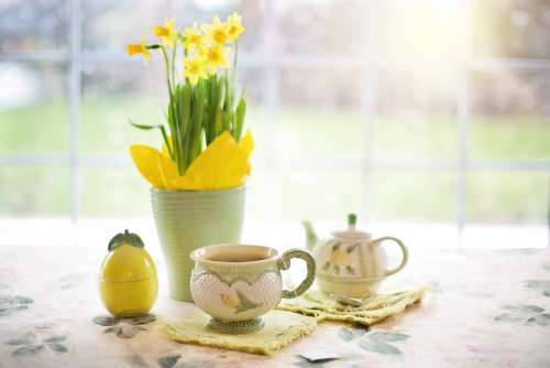 Daffodils Tea Tea Time Cup Of Tea Spring