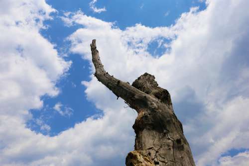 Dali Erhai Lake Blue Sky Withered Lonely Free