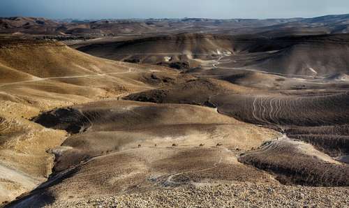 Dead Sea Caravan Camel Red Brown Canyon Cliff