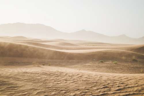 Desert Sand Sand Dunes Sahara Gobi Dry Drought