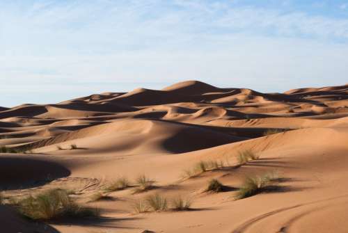 Desert Dunes Sand Sky Grass Hills Wallpaper