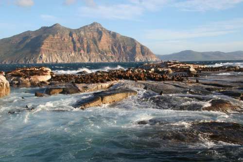 Duiker Island South Africa Cape Town Ocean