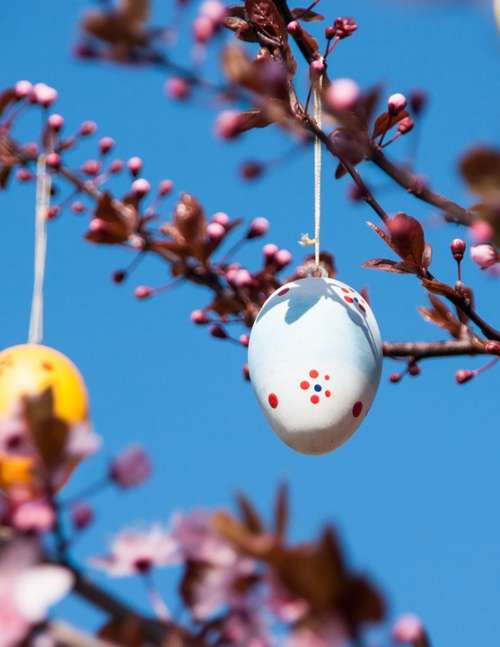Easter Easter Egg Branch Blue Pink Cherry Colored