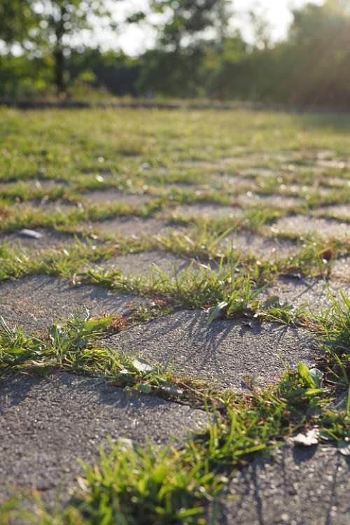 Evening Sunset Texture Shadow Stone Grass Macro