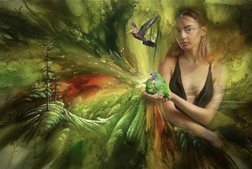 Fantasy Nature Female Birds Earth Lighting