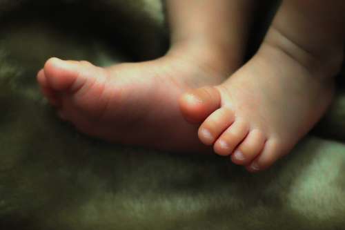 Feet Bebe Child Newborn Small Baby Cute Fingers