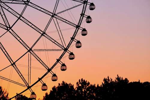 Ferris Wheel Park Sunset Twilight Silhouette Trees
