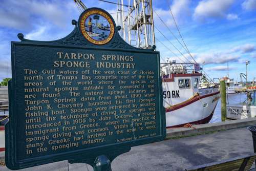 Florida Tarpon Springs Boats Dock Waterfront Boat