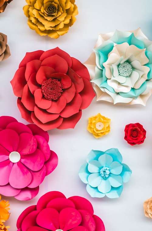 Flowers Paper Colorful Decoration Party Creativity