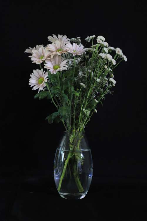 Flowers Vase Bouquet Still Life Romantic