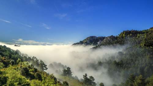 Fog Meteorology Sky Landscape Clouds Environment