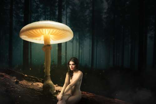 Forest Mushroom Girl Naked Sexy Fairy Tales Light