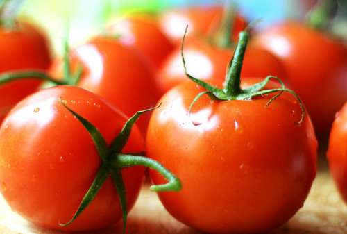 Fruit Tomatoes Food Red Fresh Healthy Vegetarian