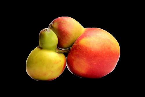 Fruit Apple Food Healthy Vitamins Eat Nutrition