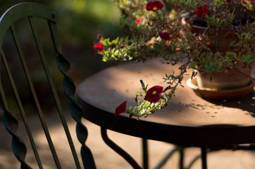 Garden Light In The Morning Table Chair Flower