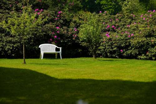 Garden Bench Relaxation Oasis Of Peace Sit Nature