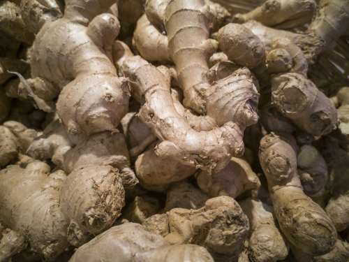 Ginger Sunday Macro Vegetable Spice India Culture