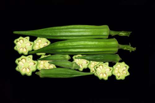Gombos Exotic Vegetable Okra Green Vegetable
