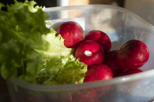 Green Red Garden Nutrition Fresh Healthy Salad
