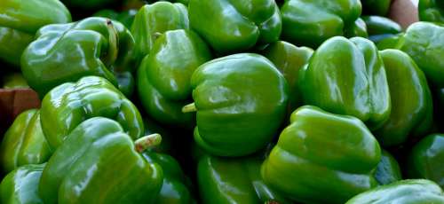 Green Peppers Vegetable Food Nutrition Green